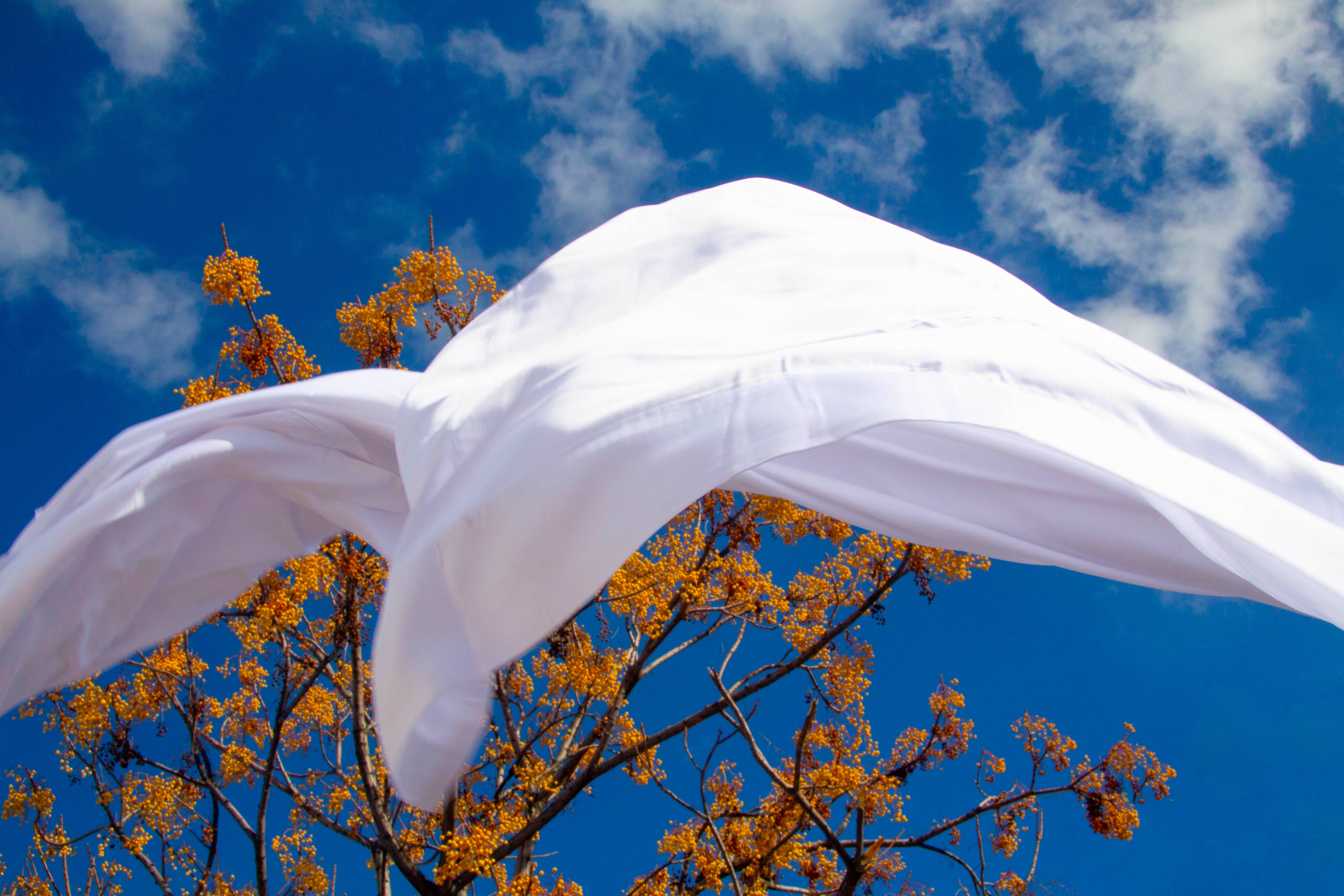 Buy Luxury Bed sheets and Blankets in Kuwait, UAE, and KSA